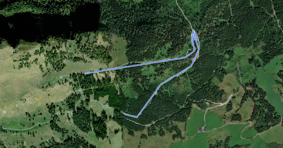 Маршрут Wanderweg 32a на спутниковом снимке