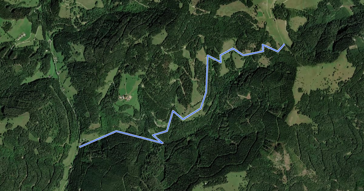 Маршрут Wanderweg 33 на спутниковом снимке