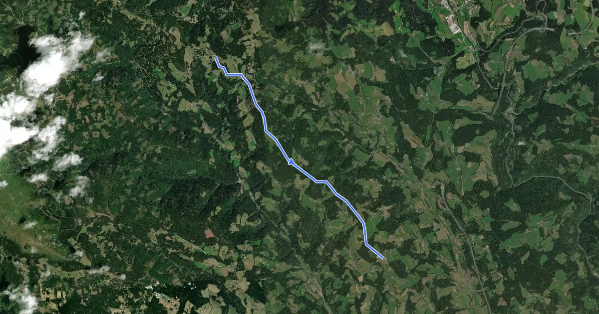Маршрут Wanderweg 333 на спутниковом снимке