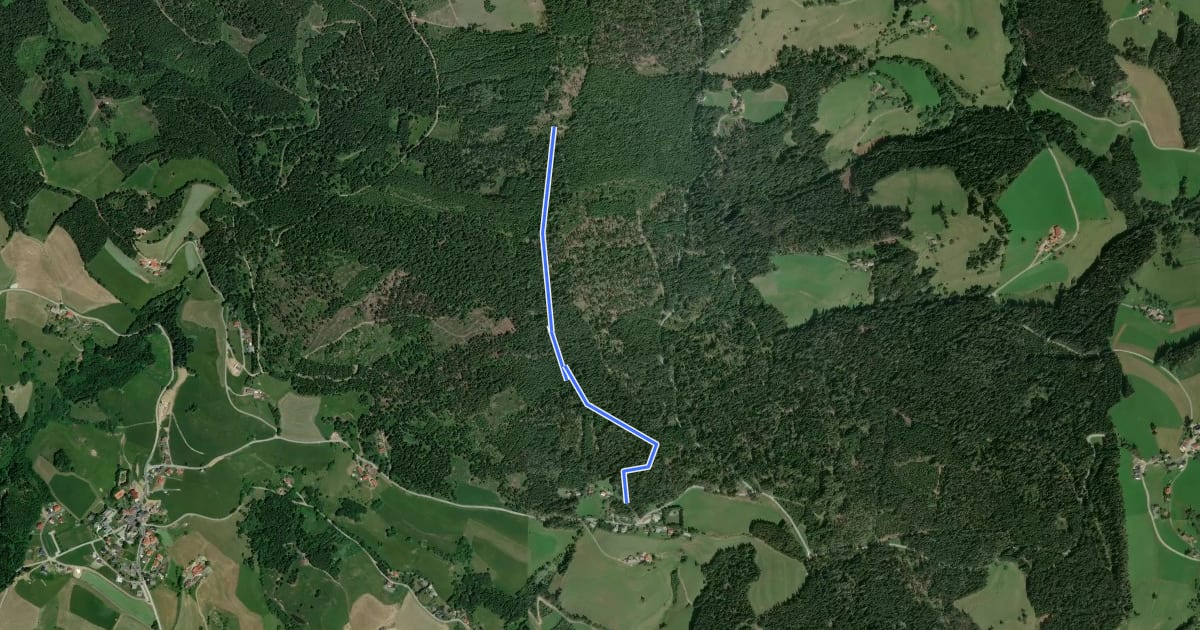 Маршрут Wanderweg 339 на спутниковом снимке