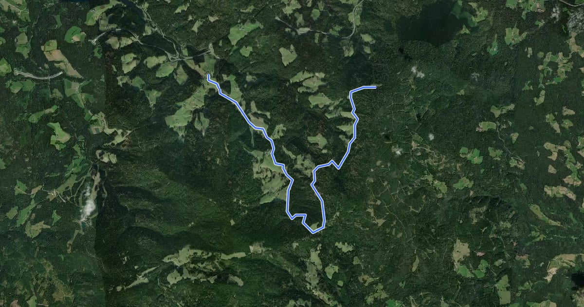 Маршрут Wanderweg 36 на спутниковом снимке