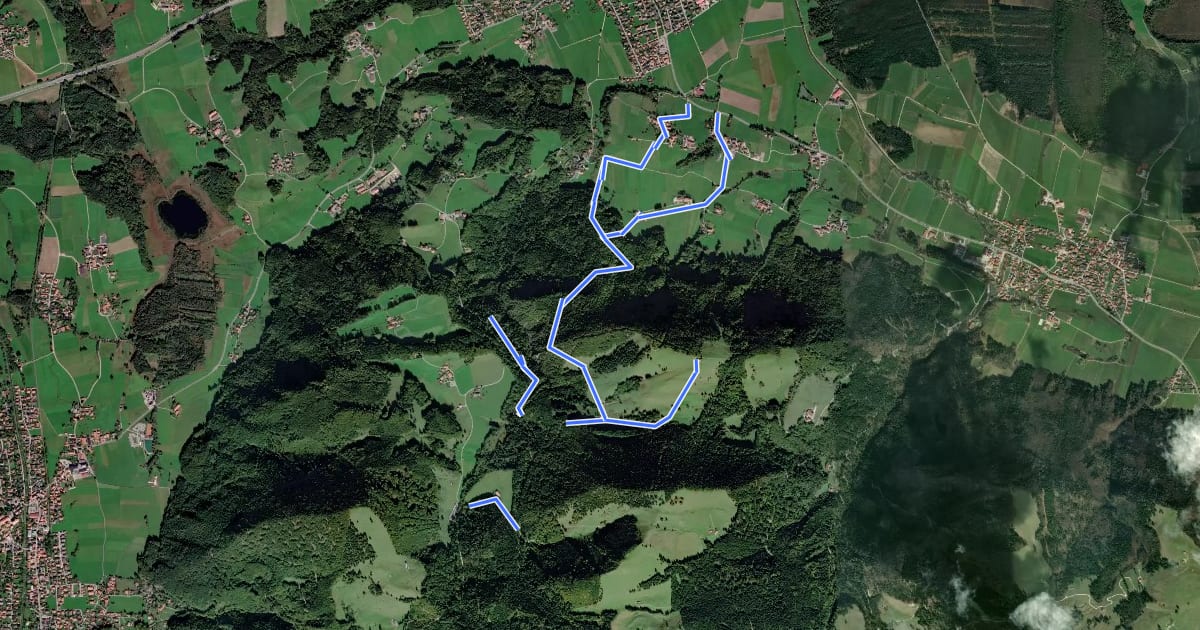 Маршрут Wanderweg 36 - Bernau на спутниковом снимке