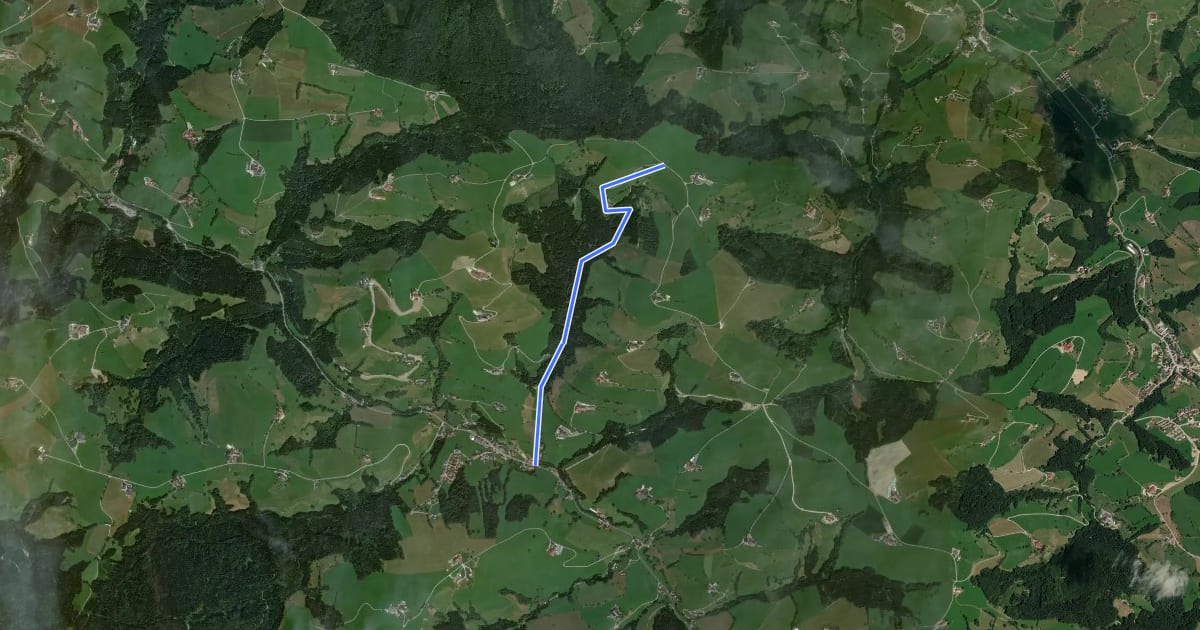 Маршрут Wanderweg 365 на спутниковом снимке