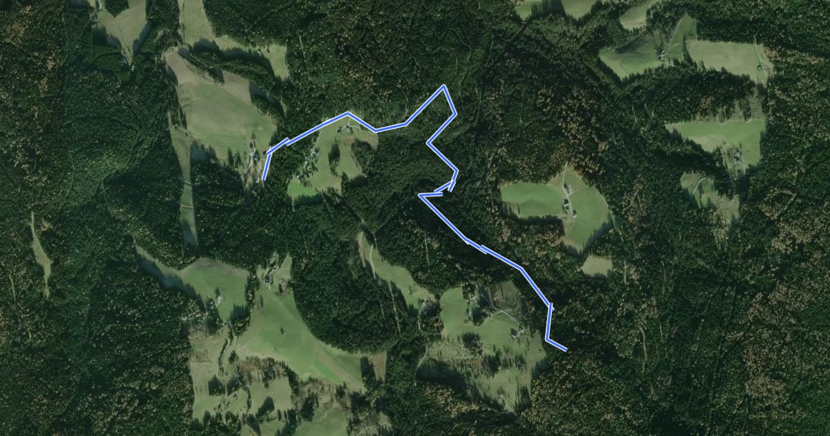 Маршрут Wanderweg 36a на спутниковом снимке