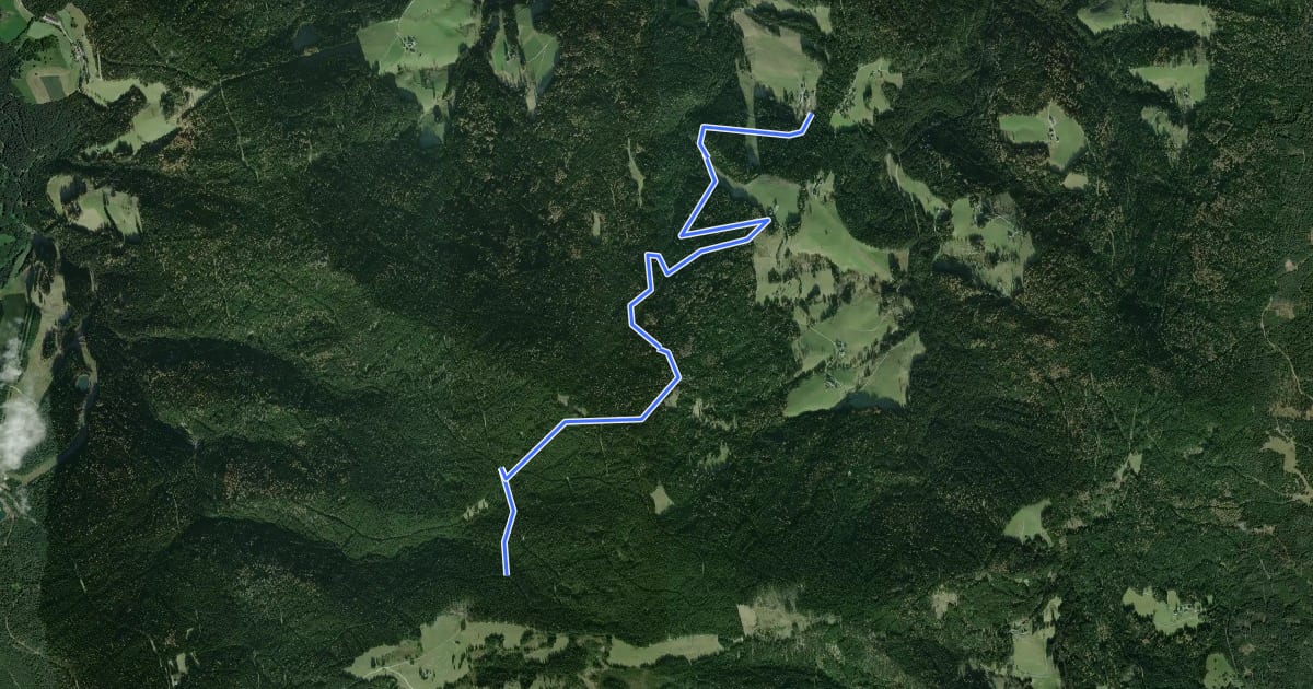 Маршрут Wanderweg 37 на спутниковом снимке