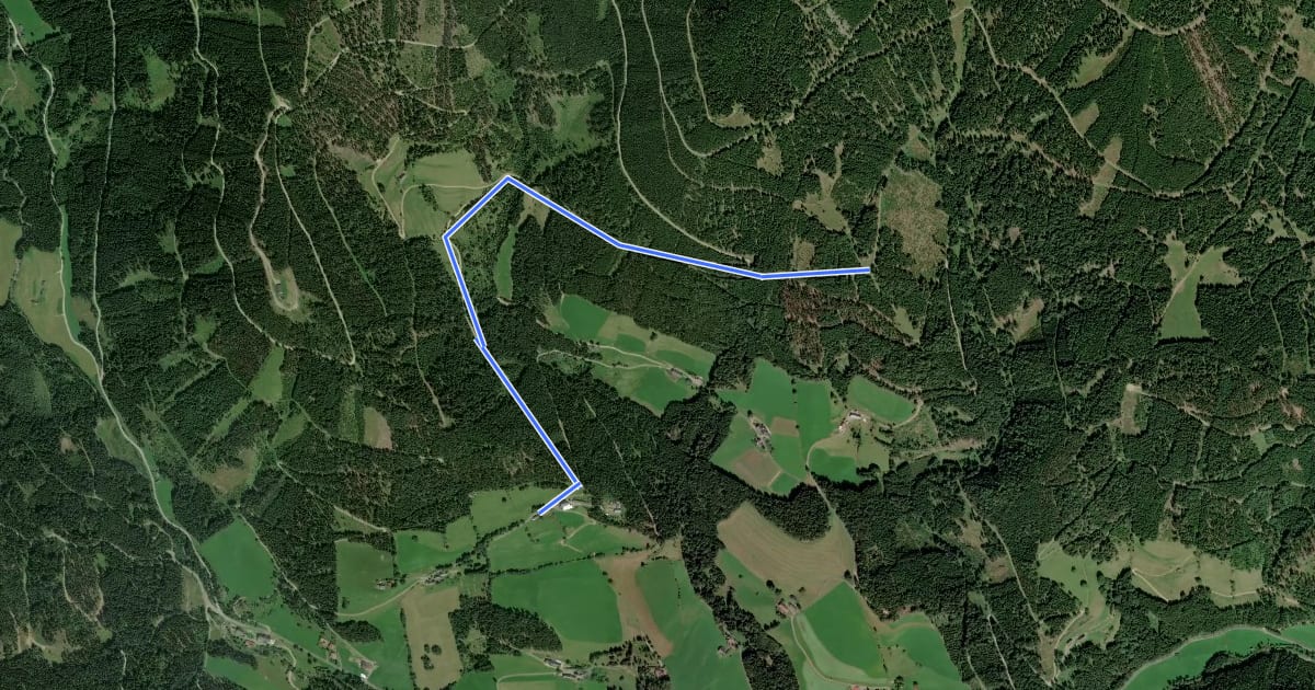 Маршрут Wanderweg 38 на спутниковом снимке