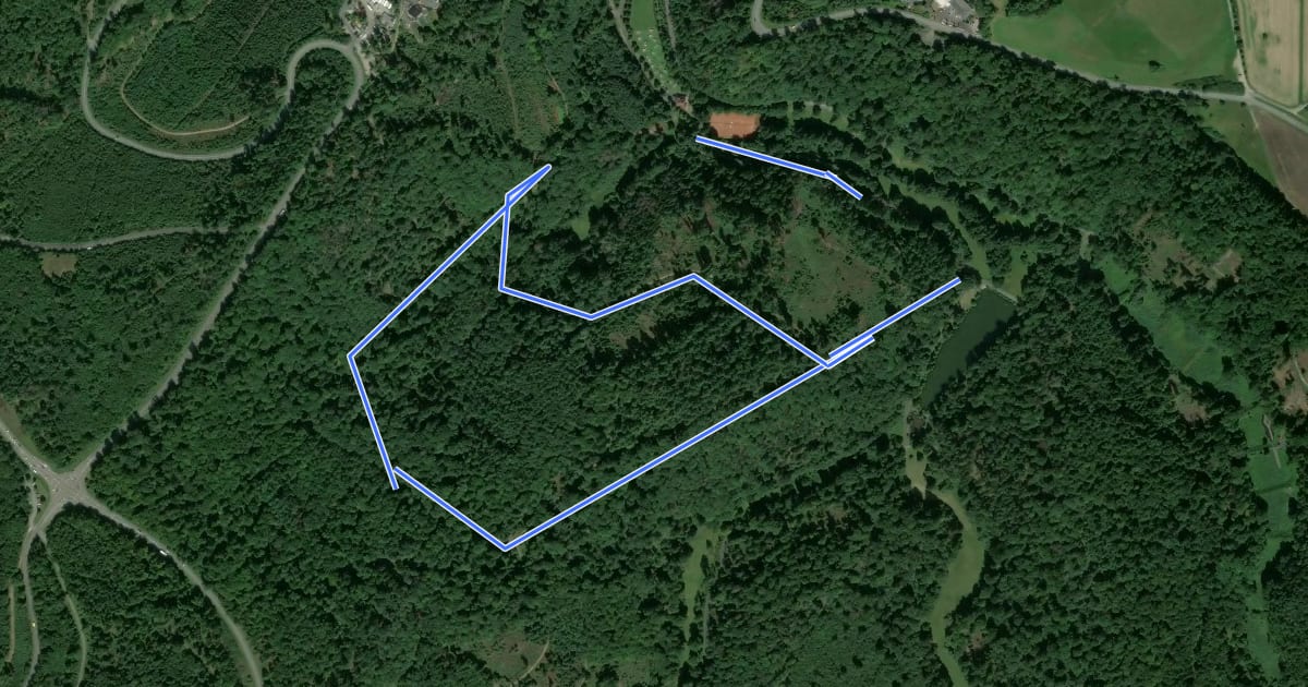 Маршрут Wanderweg 4 на спутниковом снимке