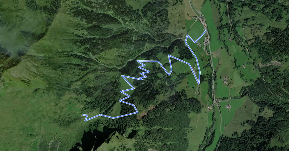 Маршрут Wanderweg 4 на спутниковом снимке