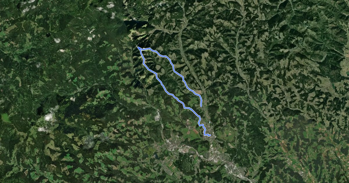 Маршрут Wanderweg 4 на спутниковом снимке