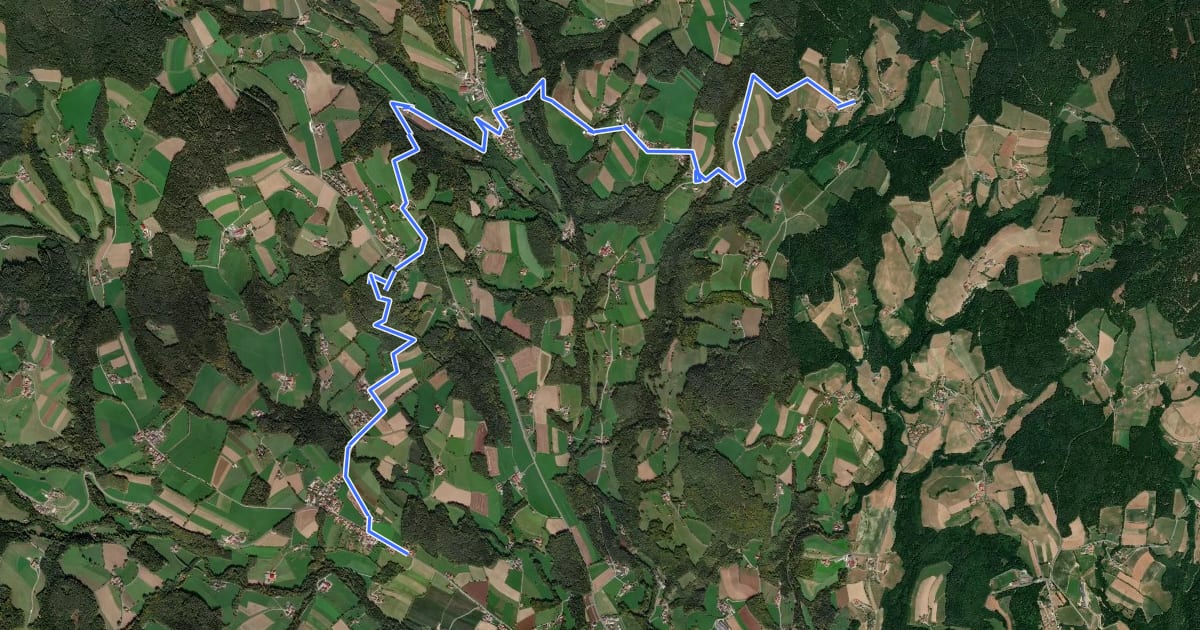Маршрут Wanderweg 4 на спутниковом снимке