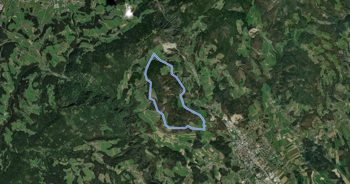 Маршрут Wanderweg 4 на спутниковом снимке