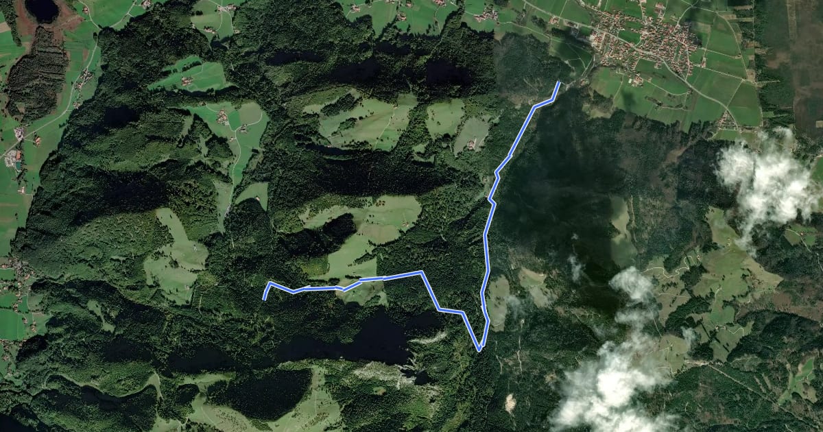 Маршрут Wanderweg 4 - Bernau на спутниковом снимке