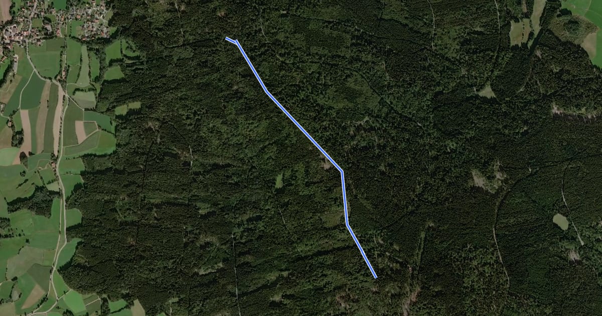 Маршрут Wanderweg 4, Signalberg на спутниковом снимке
