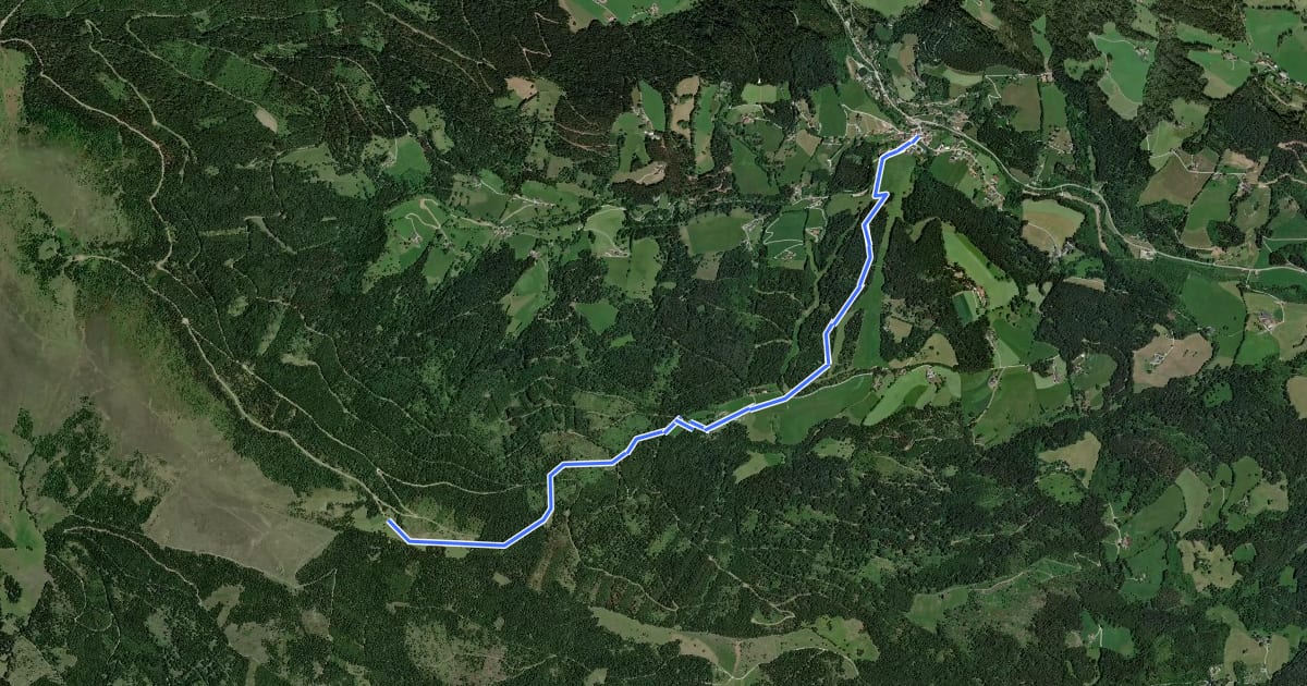 Маршрут Wanderweg 41 на спутниковом снимке