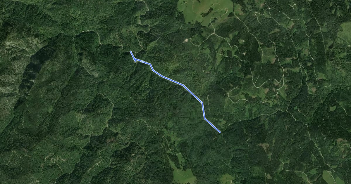 Маршрут Wanderweg 42 на спутниковом снимке