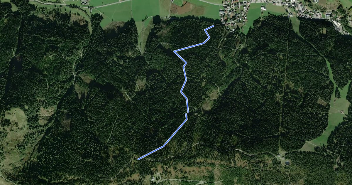 Маршрут Wanderweg 42a на спутниковом снимке