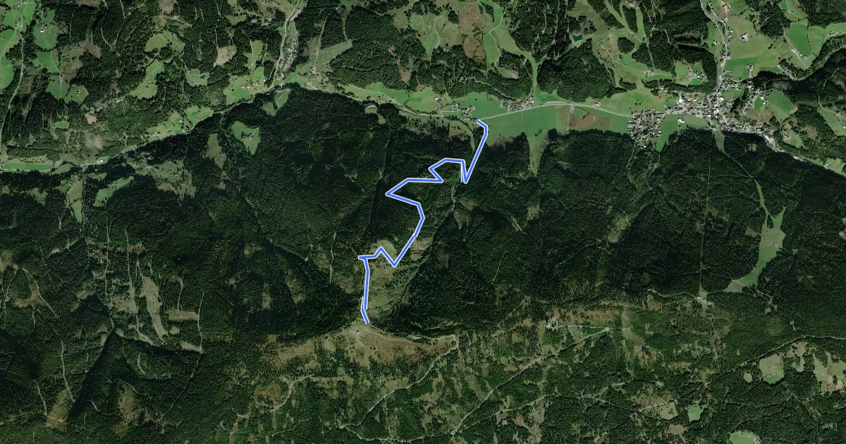 Маршрут Wanderweg 42c на спутниковом снимке