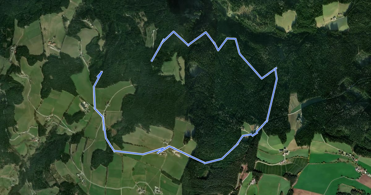 Маршрут Wanderweg 43 на спутниковом снимке