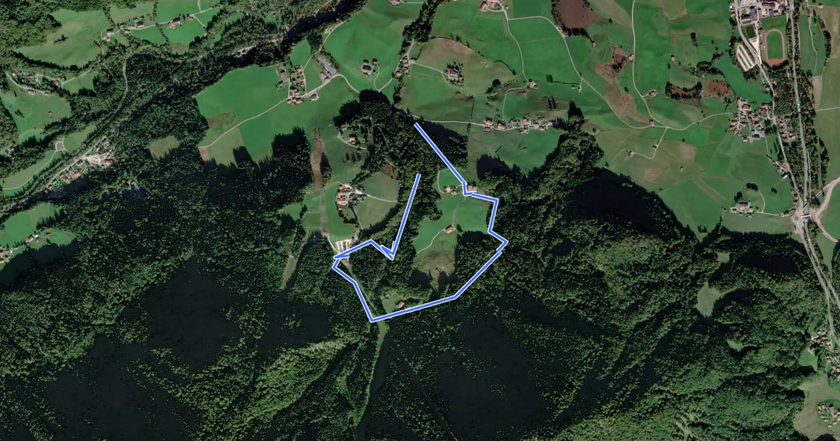 Маршрут Wanderweg 43 Weingartenweg на спутниковом снимке