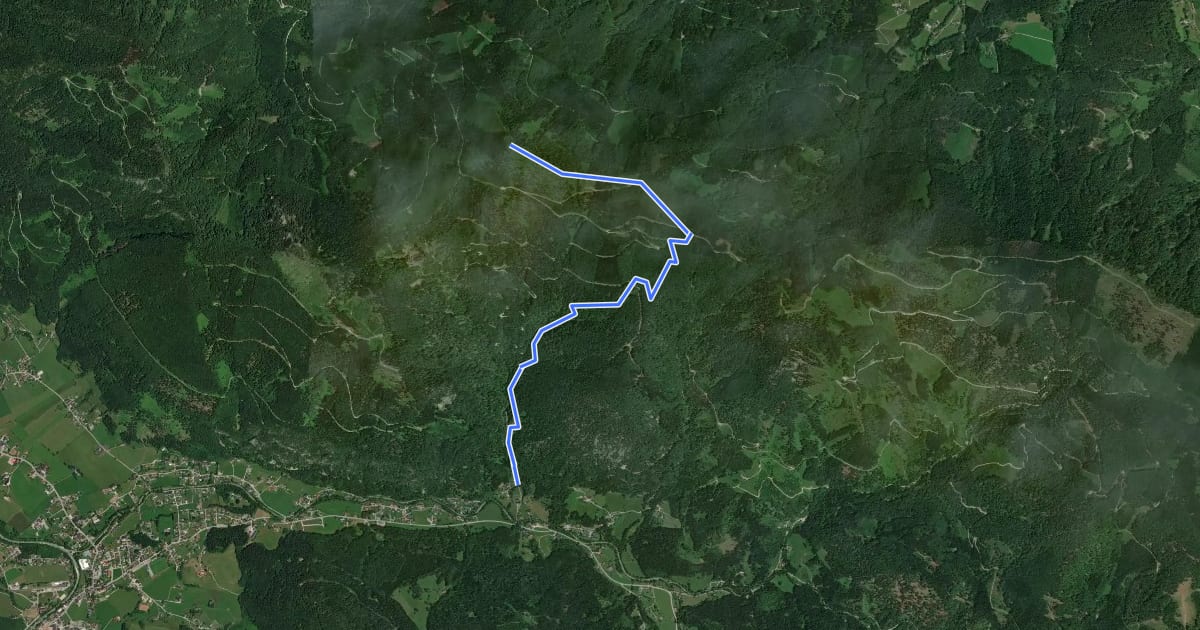 Маршрут Wanderweg 438 на спутниковом снимке