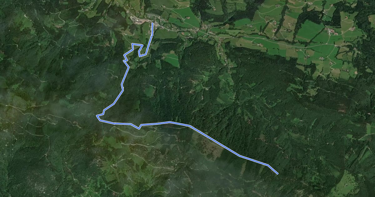 Маршрут Wanderweg 439 на спутниковом снимке