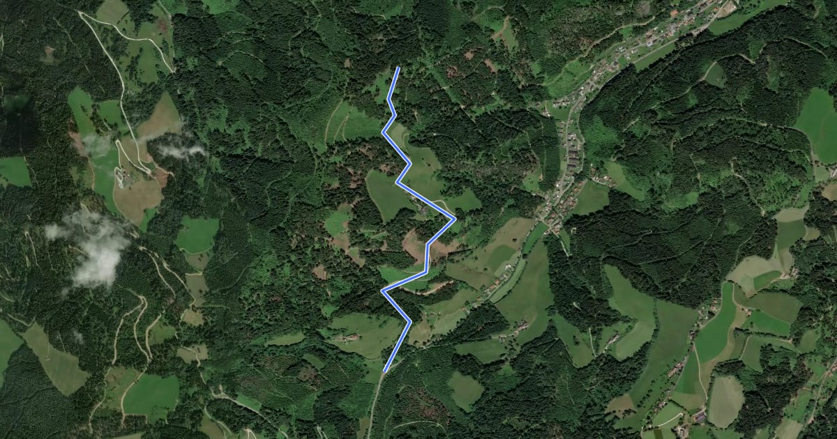 Маршрут Wanderweg 44 на спутниковом снимке