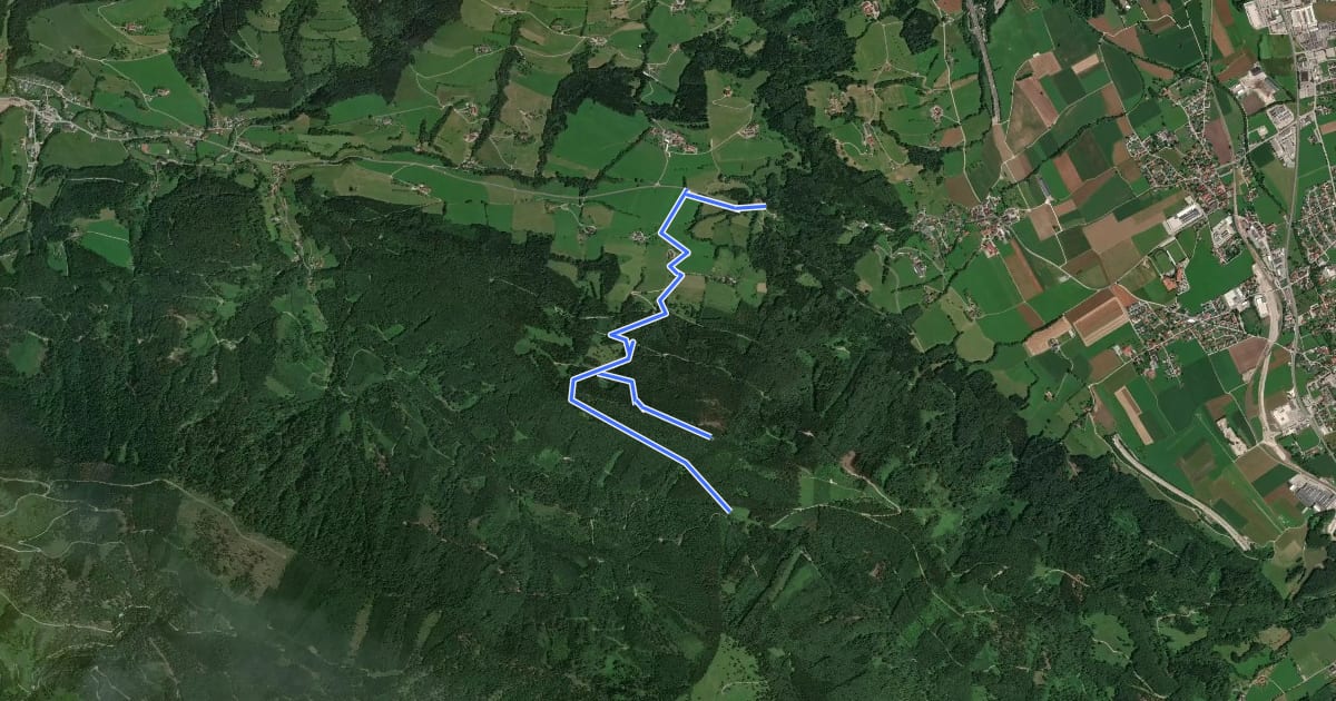 Маршрут Wanderweg 445 на спутниковом снимке