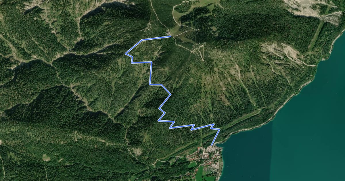 Маршрут Wanderweg 446 на спутниковом снимке