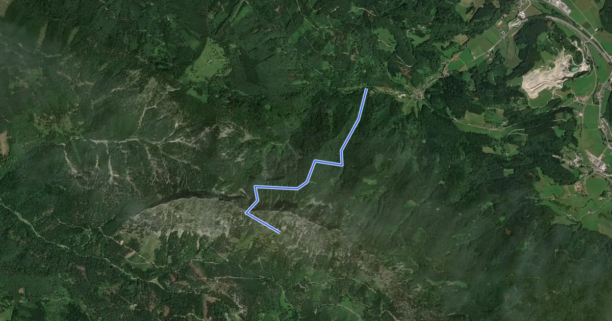 Маршрут Wanderweg 446 на спутниковом снимке