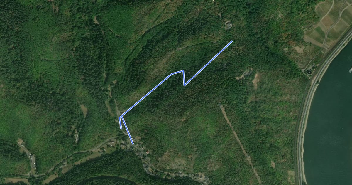 Маршрут Wanderweg 45 на спутниковом снимке