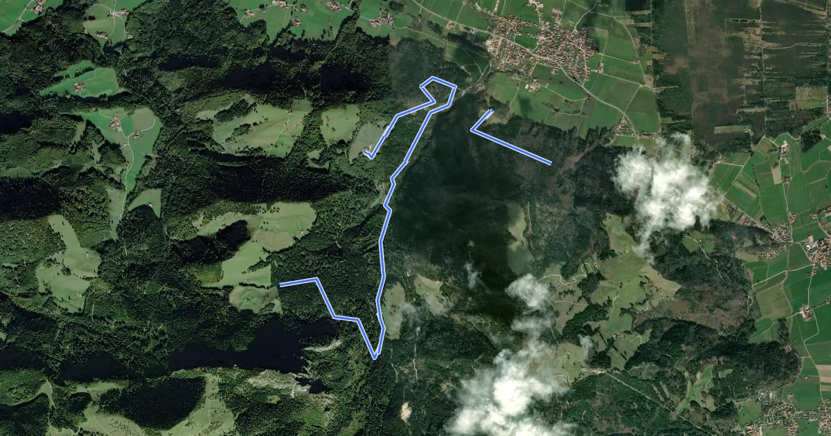 Маршрут Wanderweg 45 - Bernau на спутниковом снимке