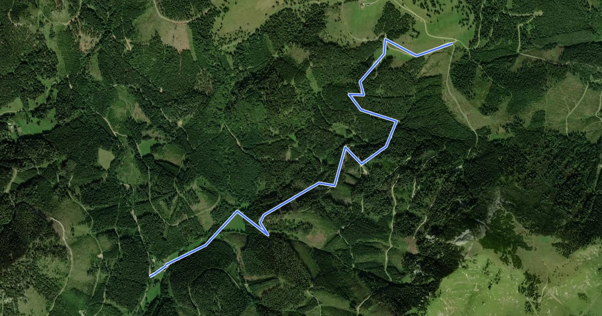 Маршрут Wanderweg 451 на спутниковом снимке