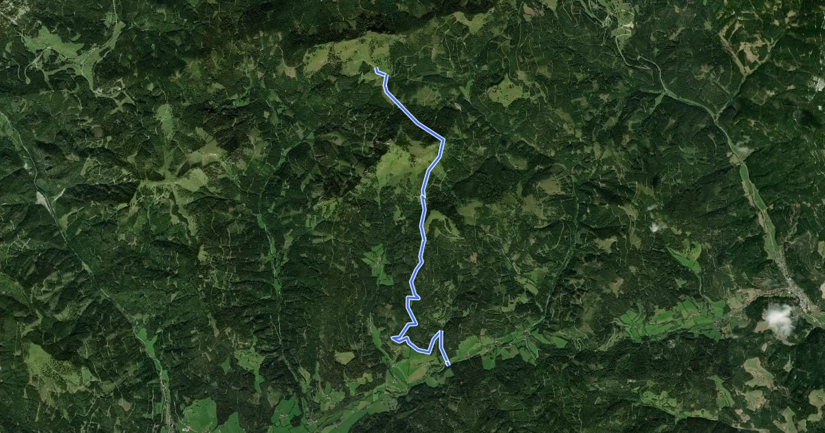 Маршрут Wanderweg 452 на спутниковом снимке
