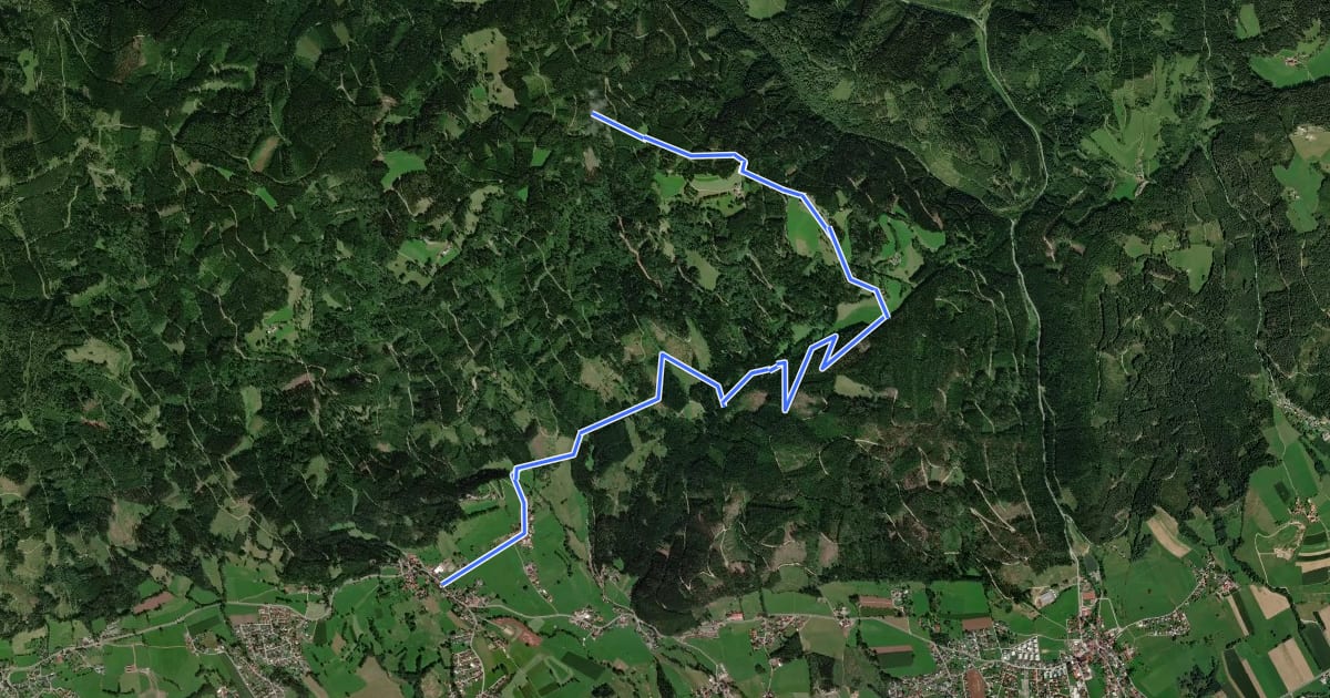 Маршрут Wanderweg 456 на спутниковом снимке