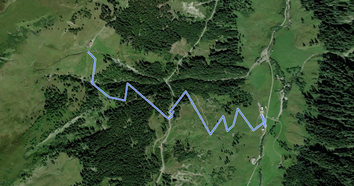 Маршрут Wanderweg 45a на спутниковом снимке