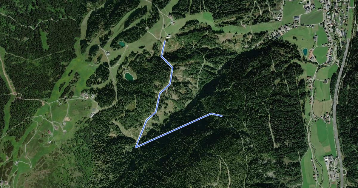 Маршрут Wanderweg 46 на спутниковом снимке