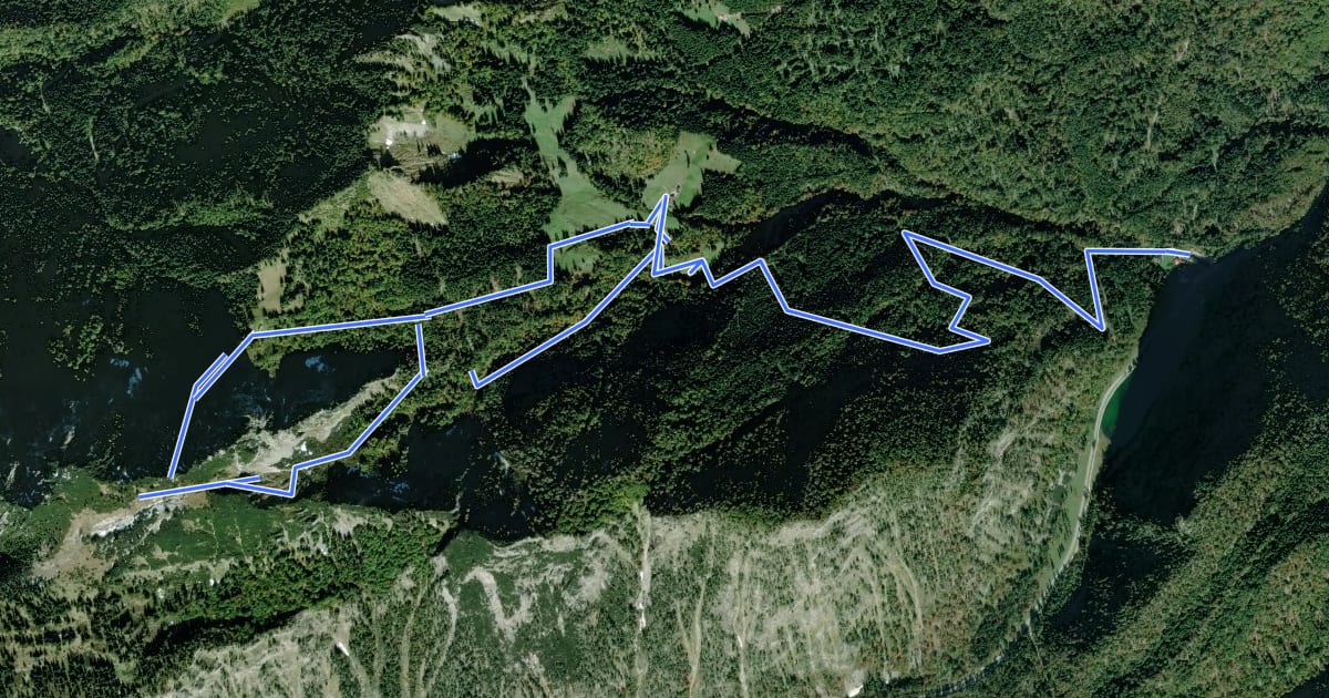 Маршрут Wanderweg 46 - Hörndlwandsteig на спутниковом снимке