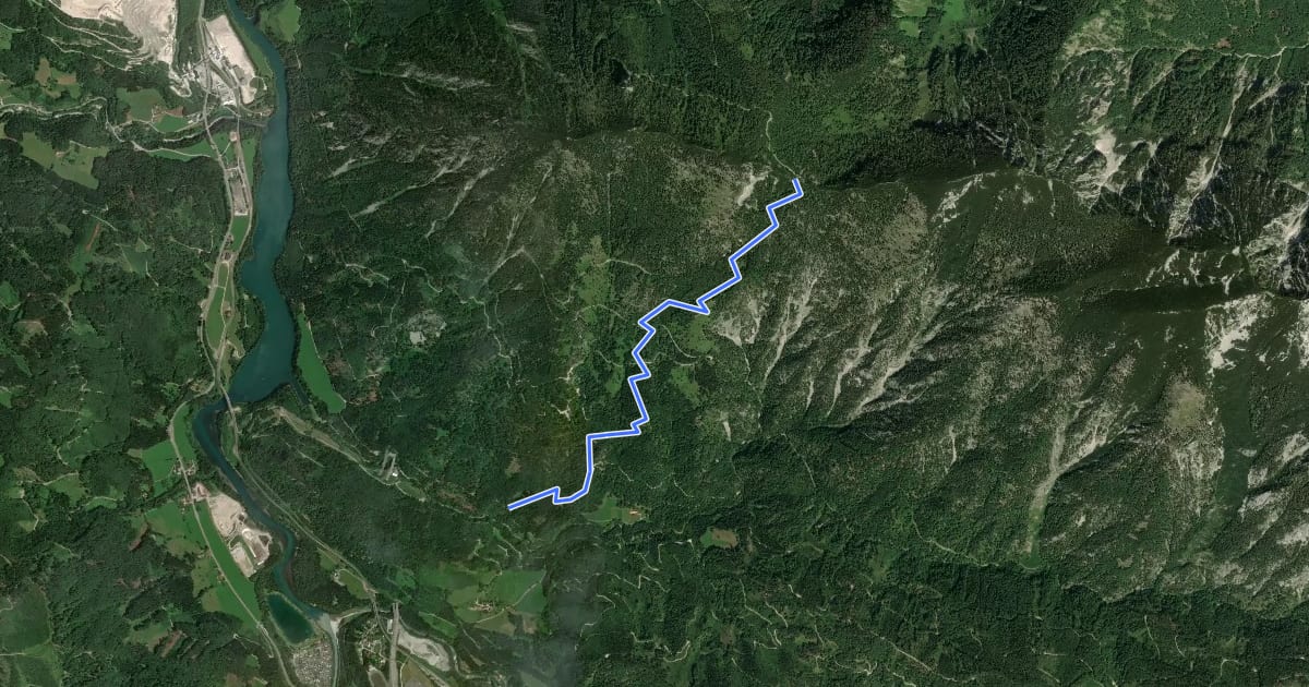 Маршрут Wanderweg 460 на спутниковом снимке