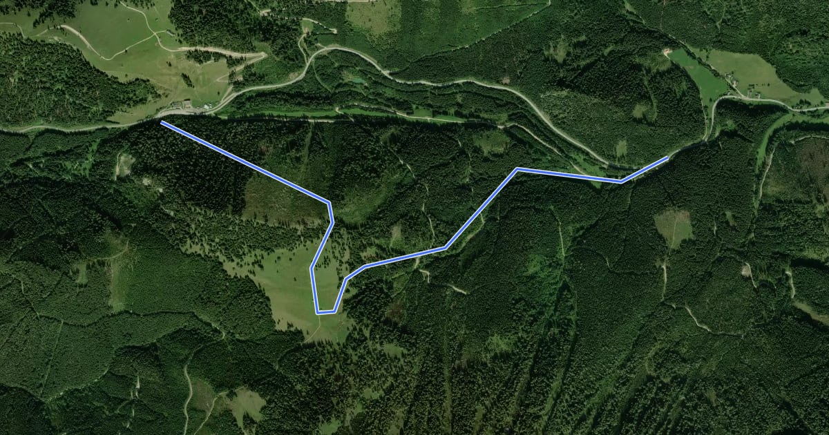 Маршрут Wanderweg 463 на спутниковом снимке