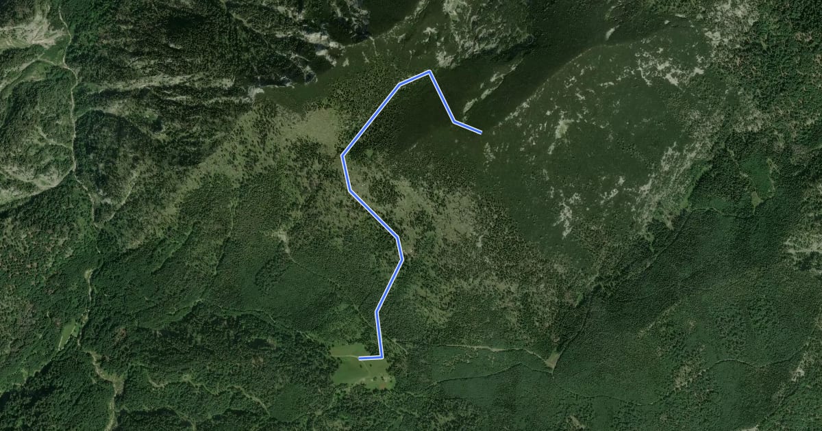 Маршрут Wanderweg 473 на спутниковом снимке