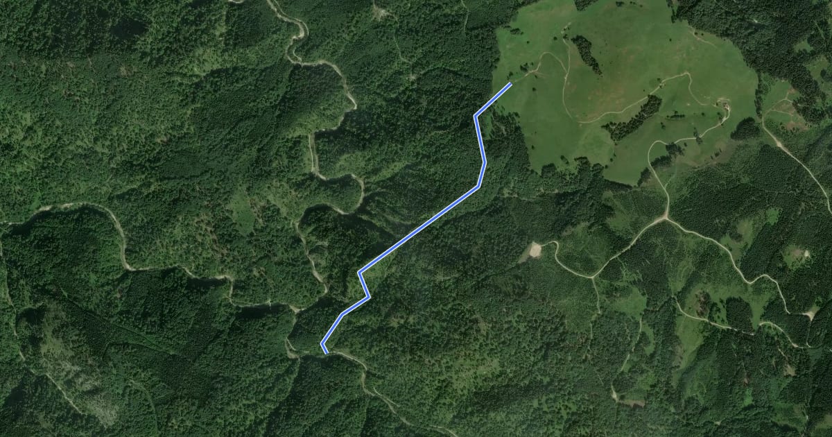 Маршрут Wanderweg 485 на спутниковом снимке