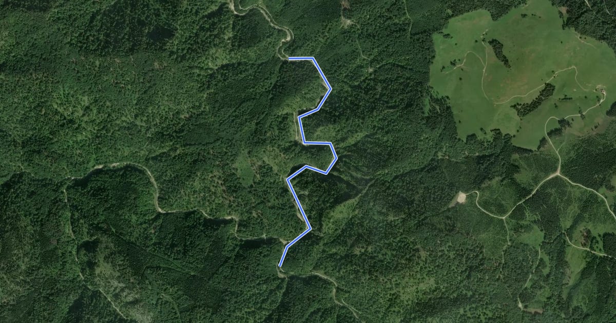 Маршрут Wanderweg 486 на спутниковом снимке