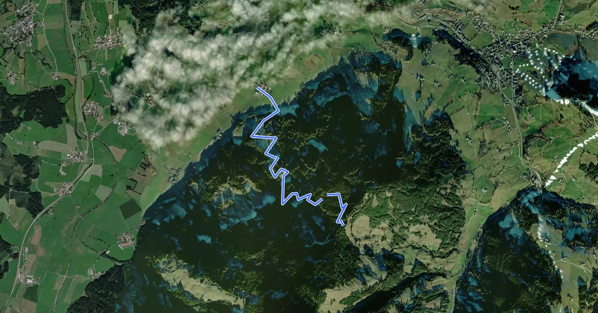 Маршрут Wanderweg 49 на спутниковом снимке