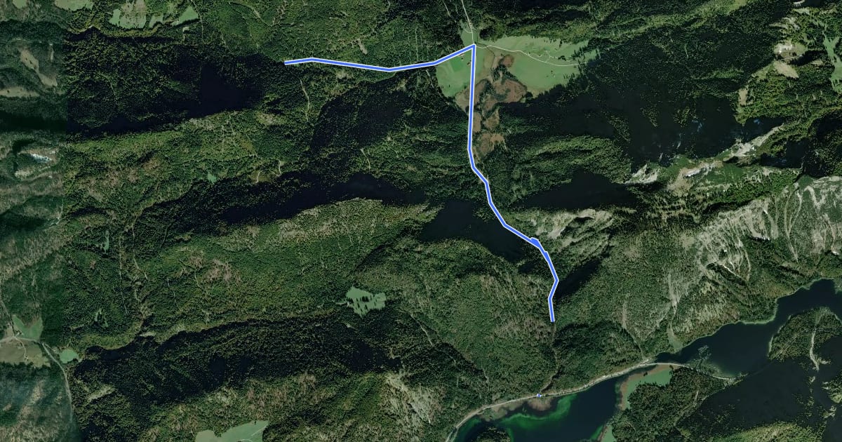 Маршрут Wanderweg 49 - Wappbachtal на спутниковом снимке