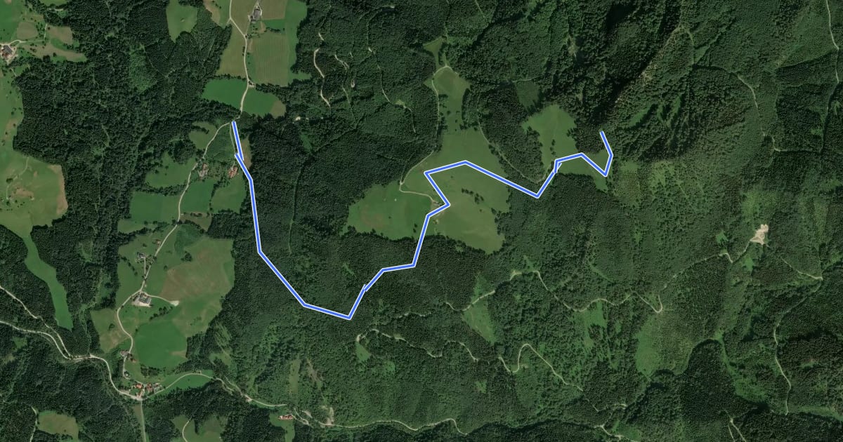 Маршрут Wanderweg 491 на спутниковом снимке