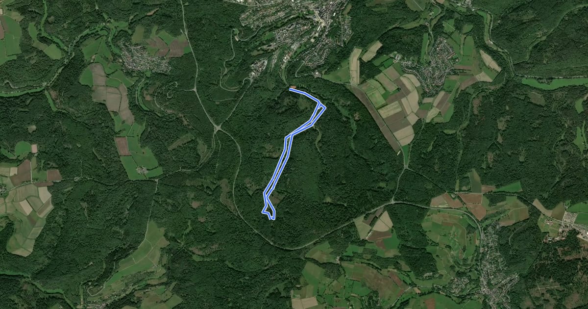 Маршрут Wanderweg 5 на спутниковом снимке