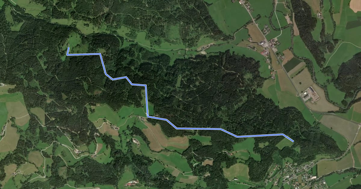 Маршрут Wanderweg 5 на спутниковом снимке