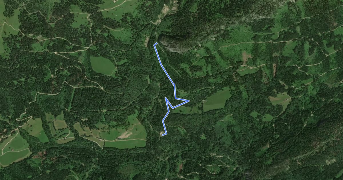 Маршрут Wanderweg 5 на спутниковом снимке