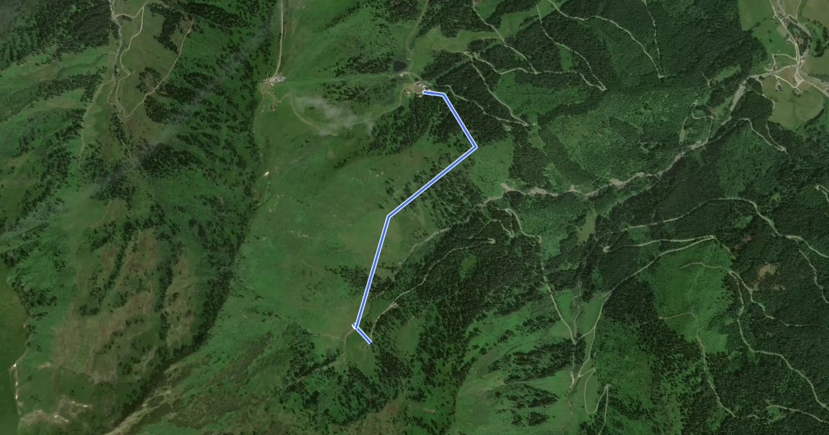 Маршрут Wanderweg 5 на спутниковом снимке