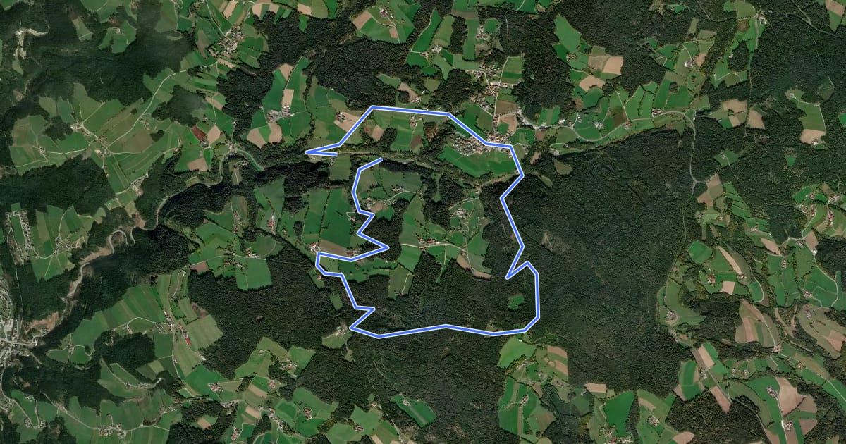 Маршрут Wanderweg 5 на спутниковом снимке